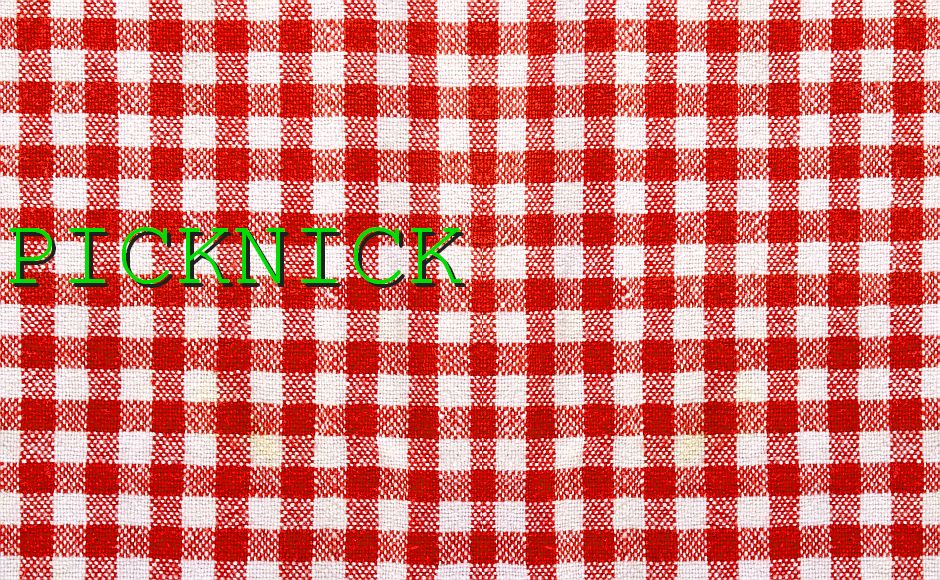 Picknick in het bos