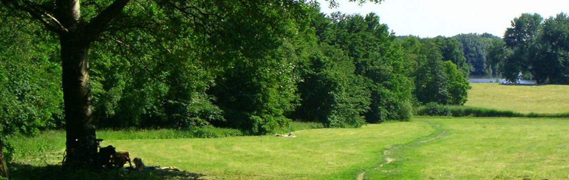 Speelweide in het Amsterdamse Bos